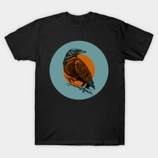 Halloween Crow, Signs and Fortunes - Teal, Orange, and Black T-Shirt